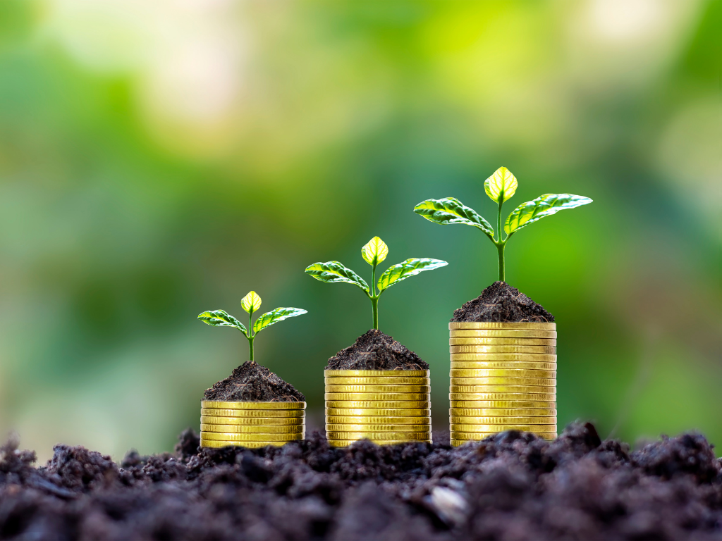 financial management, investment tips, gaurik finserv